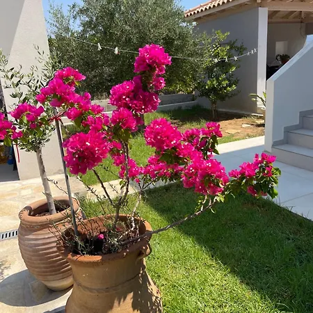 Rose Garden Holiday home Metaxata